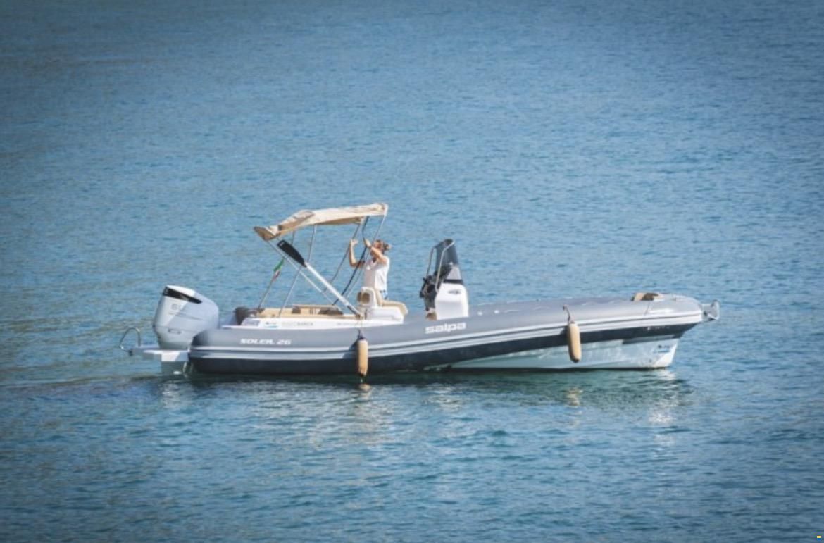 Salpa Soleil 26