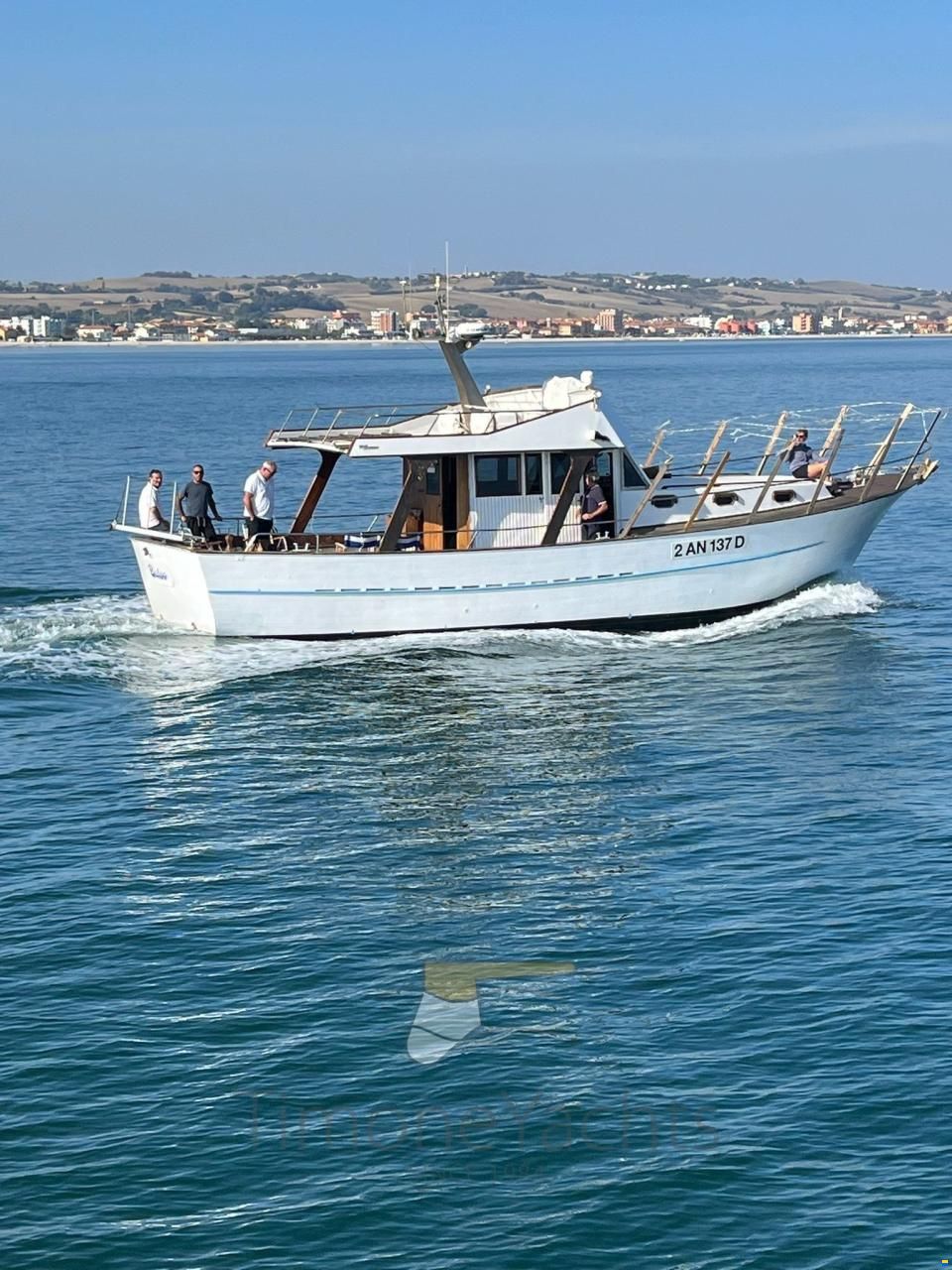 Azzurro 44