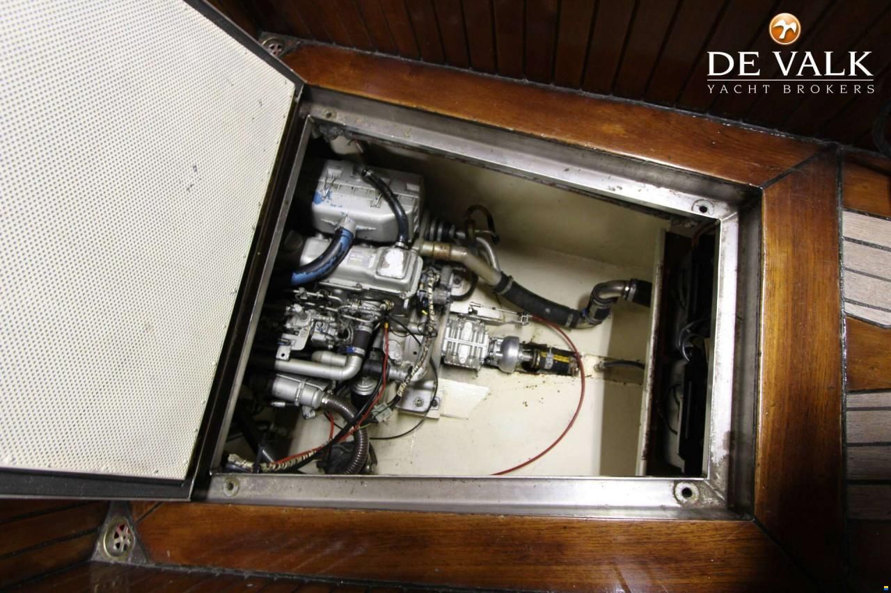 Danish Rose 31