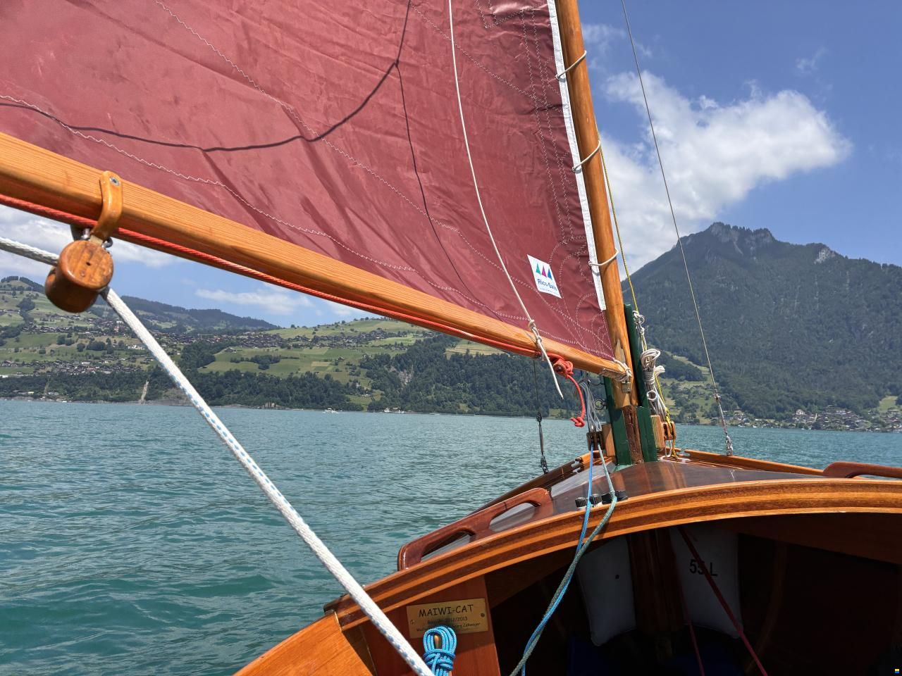 Tom Cat William Garden