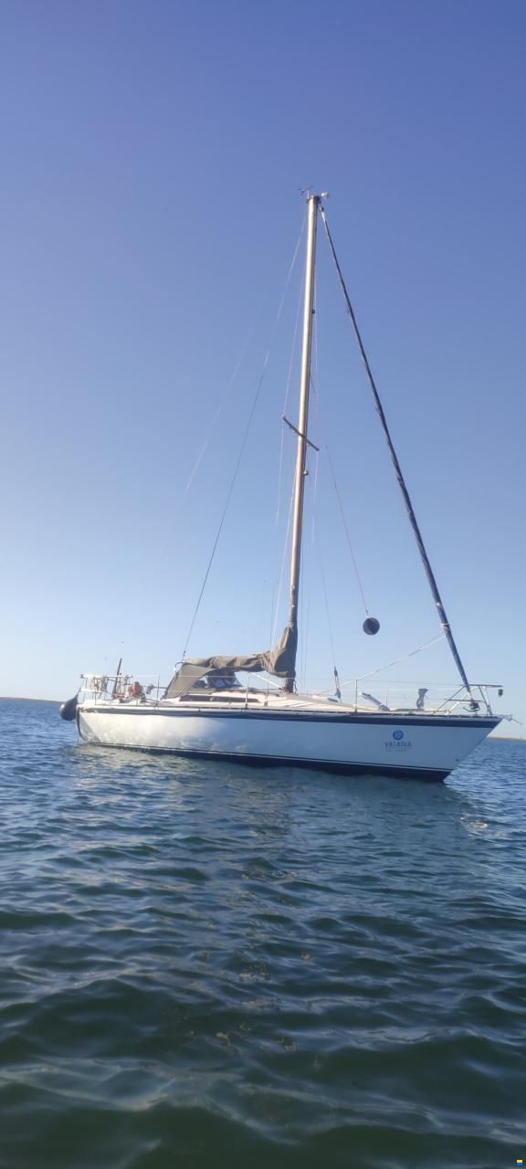 Kalik/Lewin Kalik 30