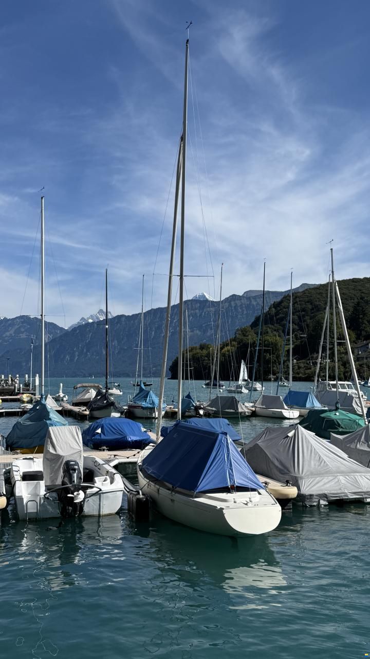 Elvstr&ouml;m H-Boot SUI 311