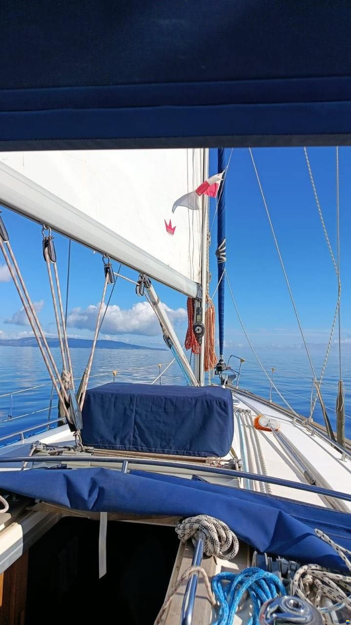 Bavaria 44