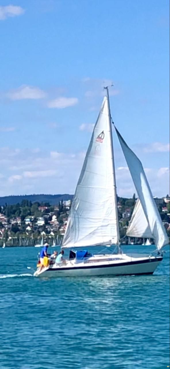 Dehlya 25