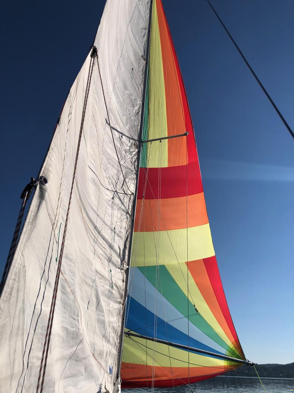 Dehlya 25