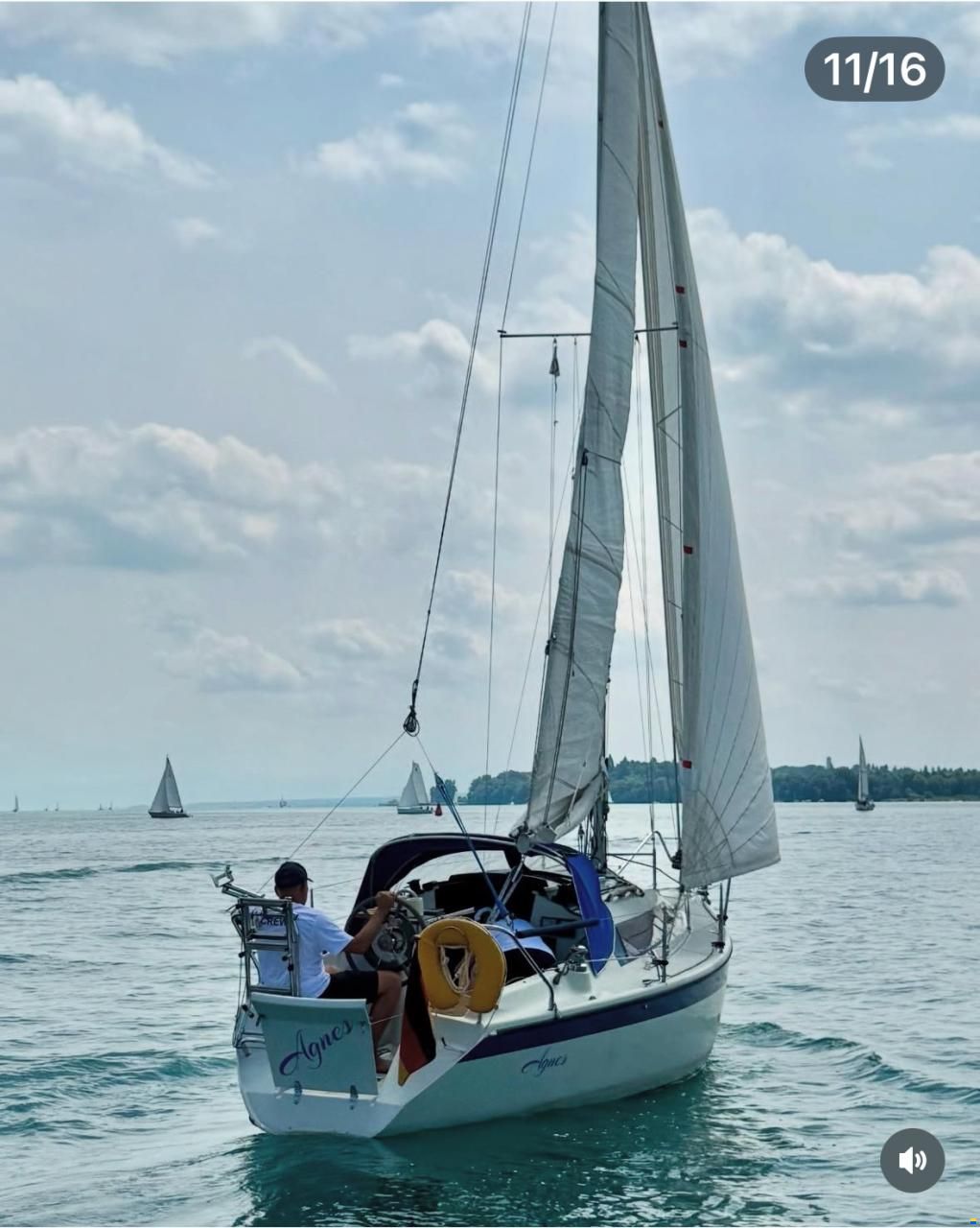 Dehlya 25