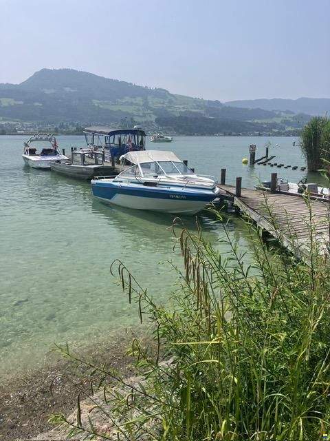 Marlin Motorschiff Marlin