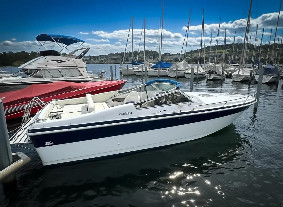 Gobbi 23 Offshore