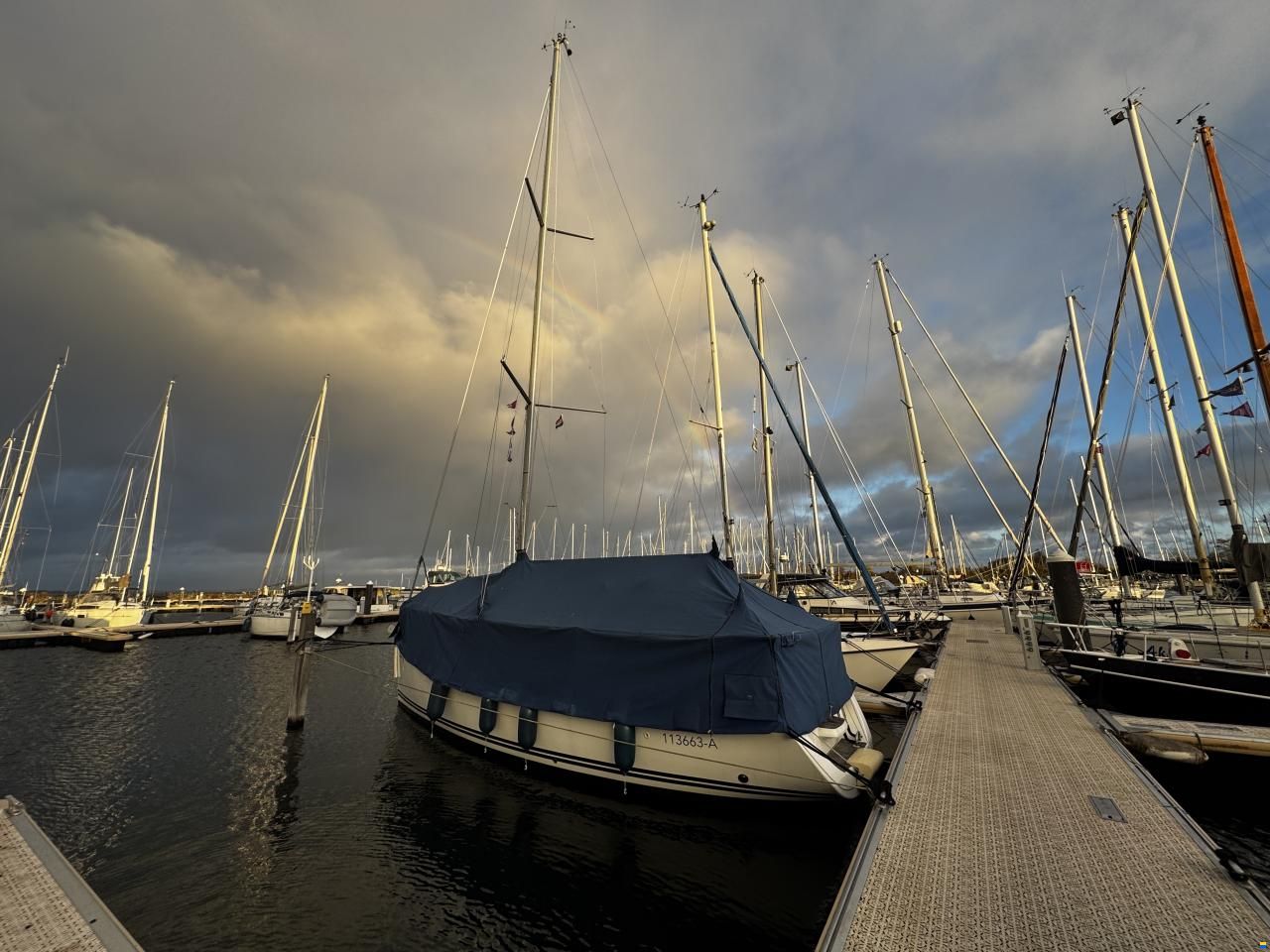 Jeanneau Sun Odyssee 30i Performance