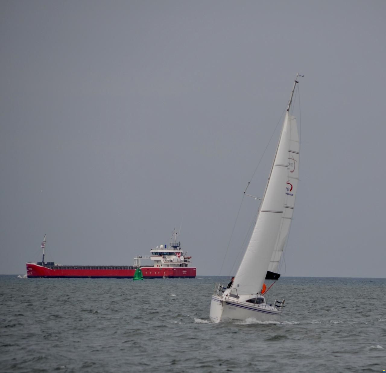 Northman Maxus 26