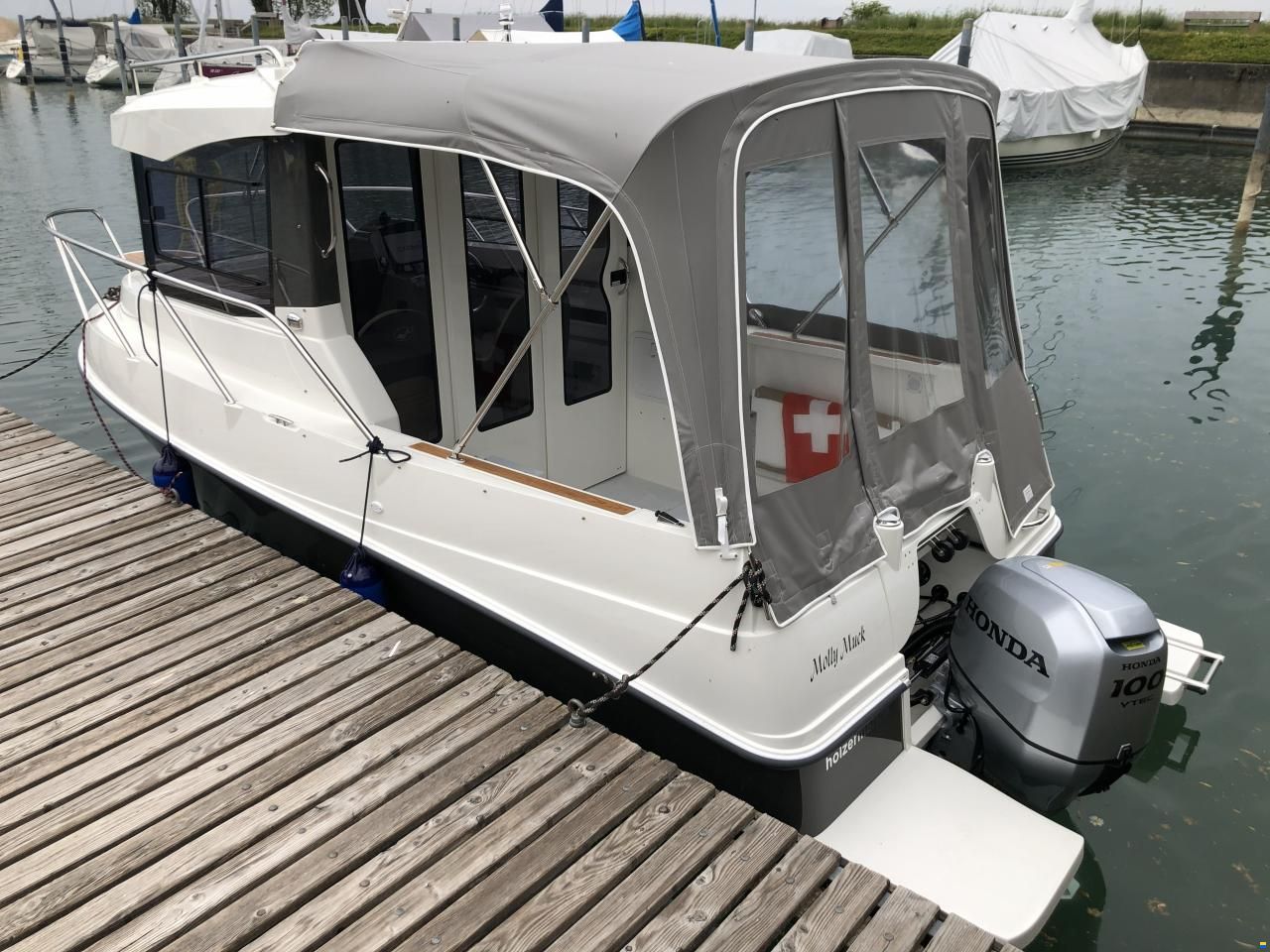 PEGAZUS 560 TOP FISHER