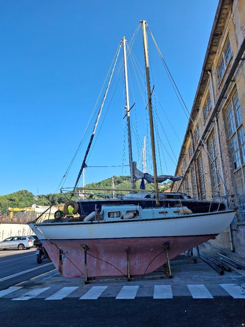 Offshore Halcyon 27