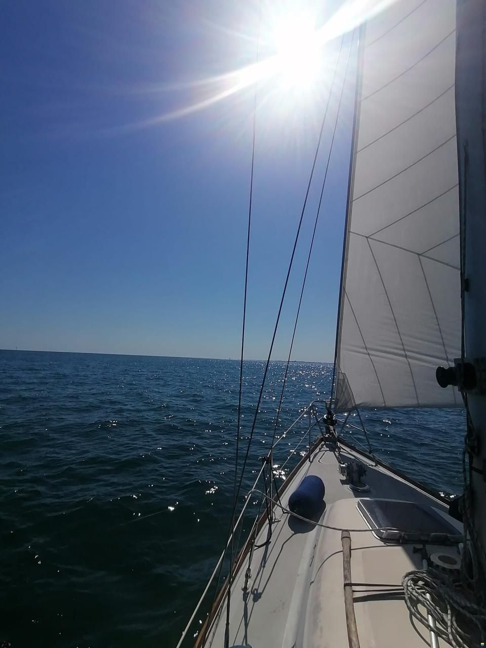 Alpha 32