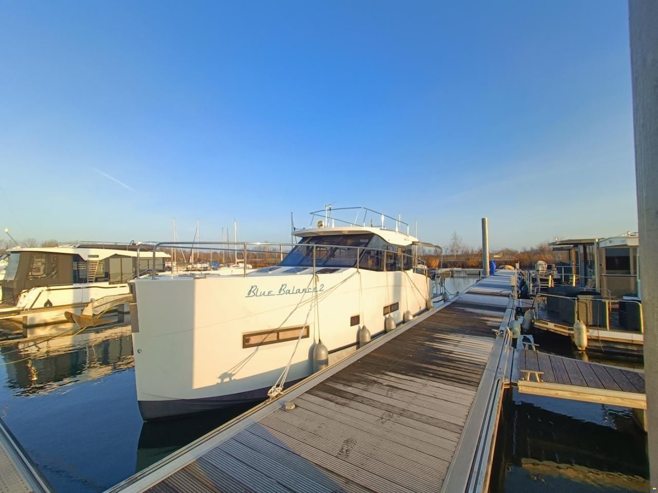 Cobra Futura 36