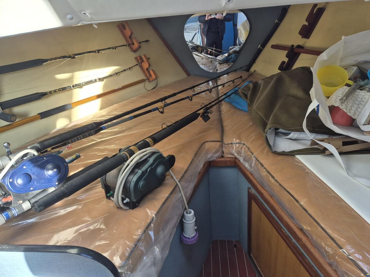 Striker 29
