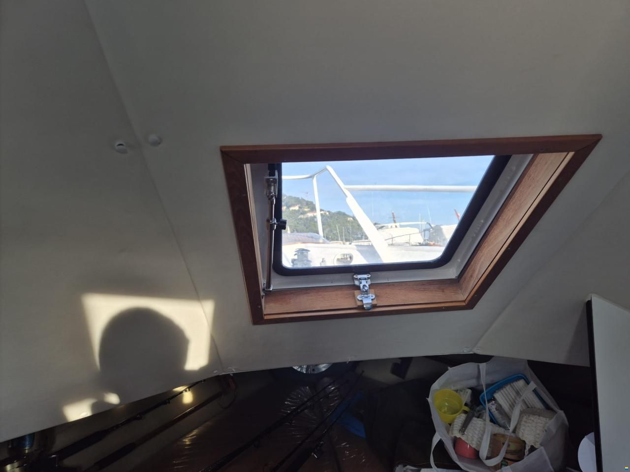 Striker 29