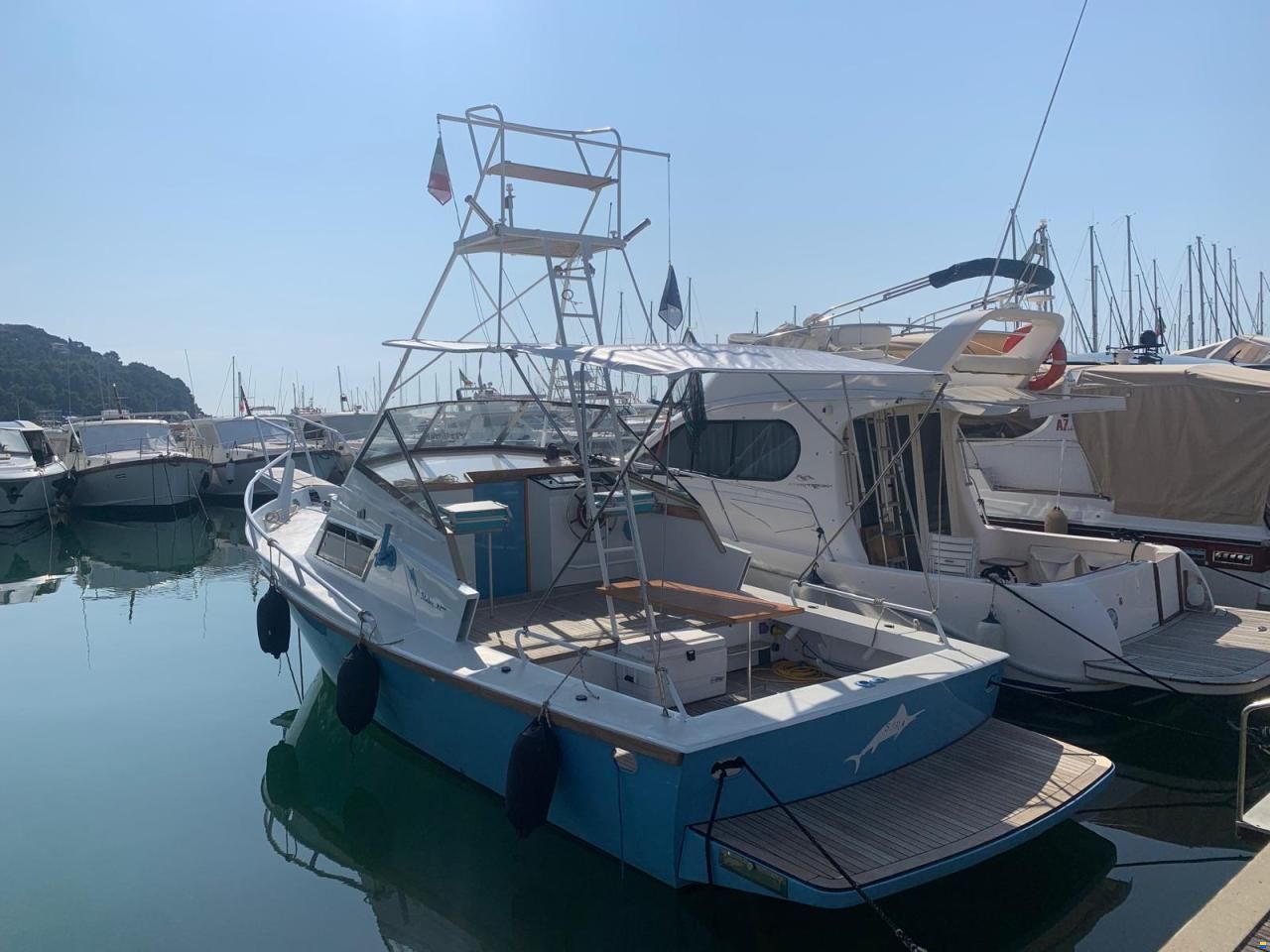 Striker 29