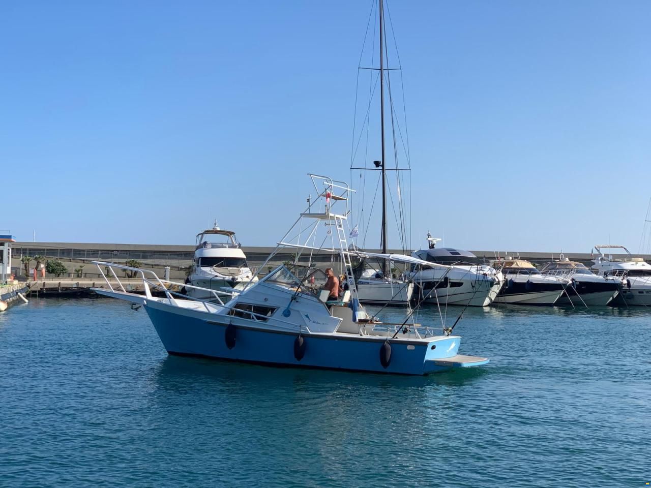 Striker 29