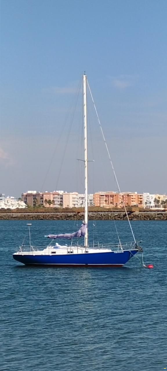Contessa 32