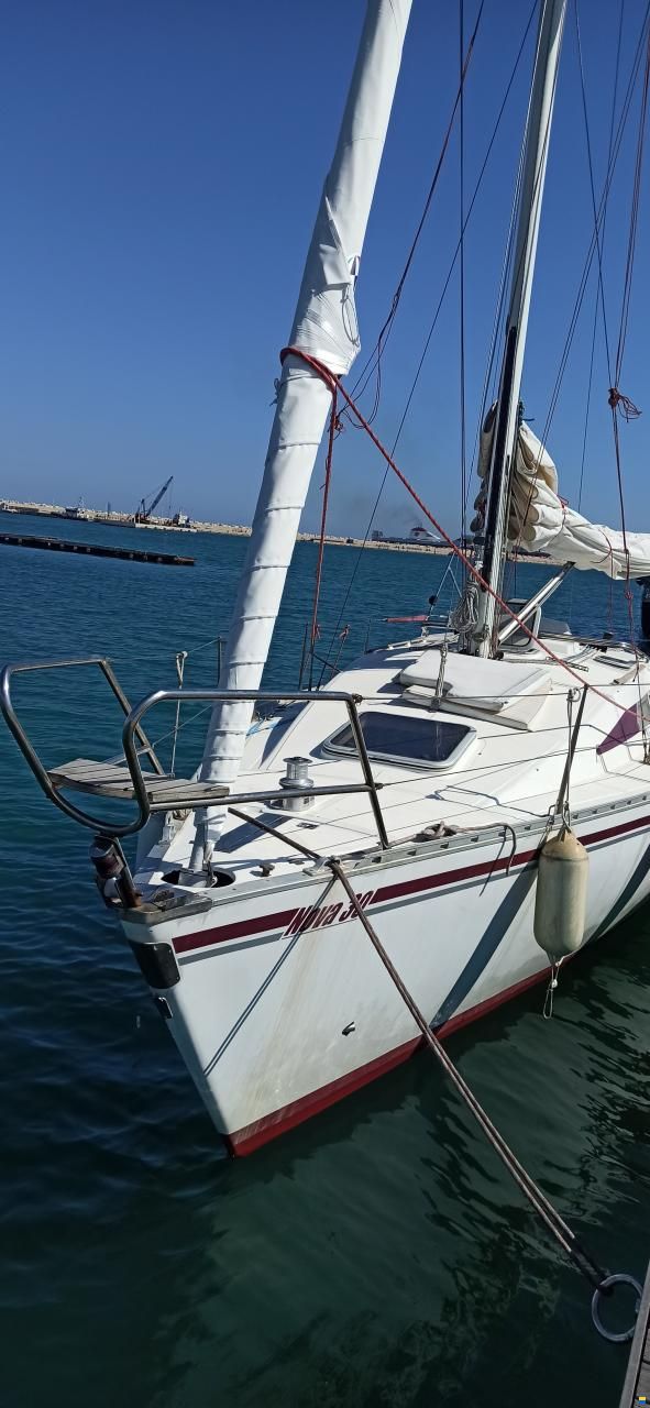 Novelli Nova 30