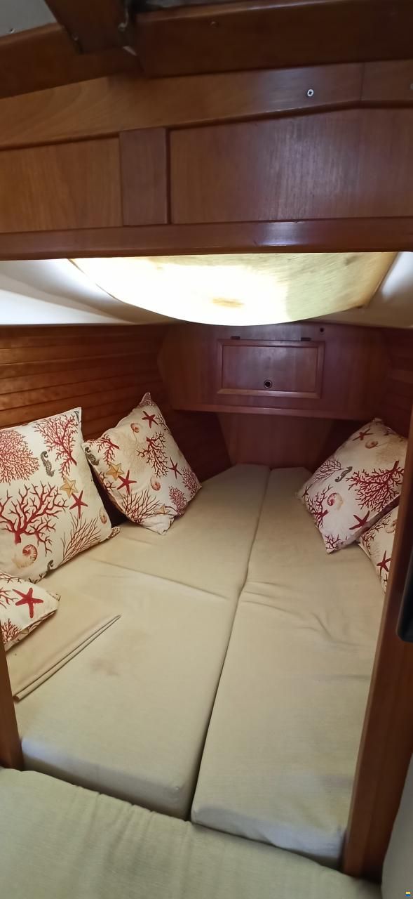 Novelli Nova 30