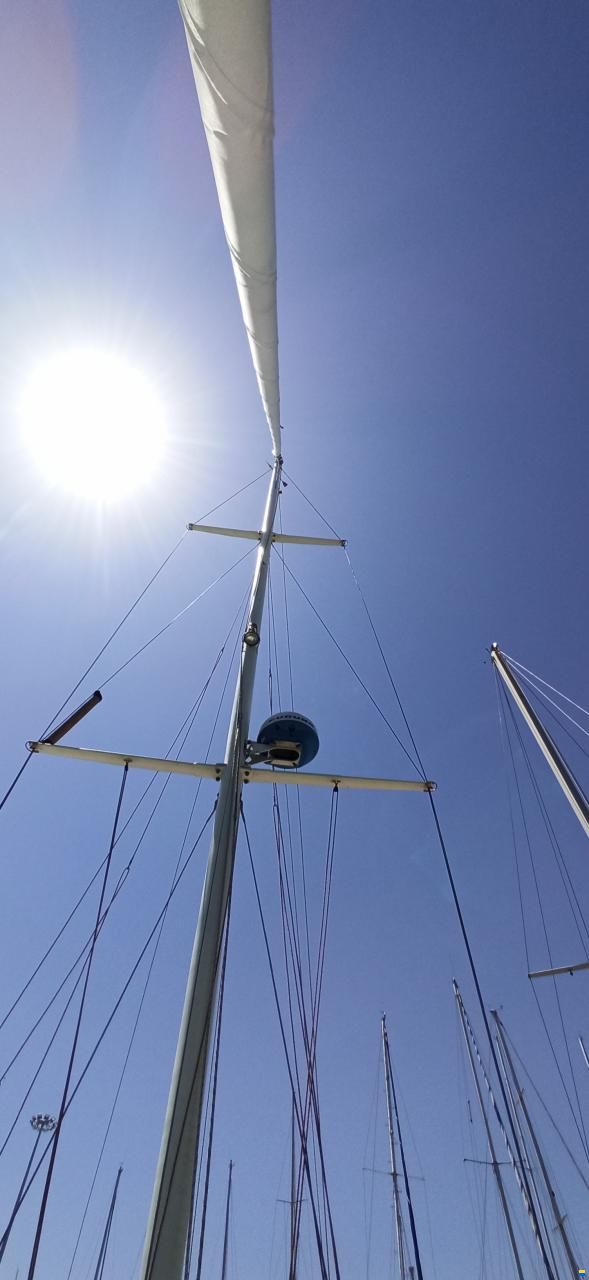 Novelli Nova 30