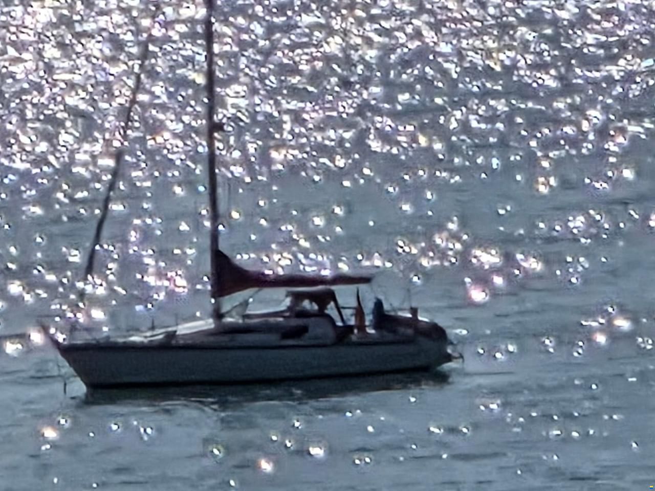 Novelli Nova 30