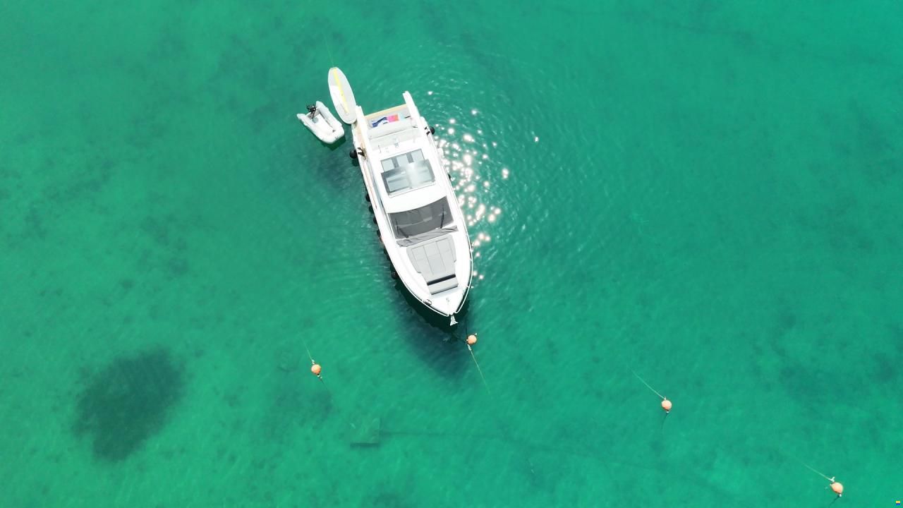 Sealine C390