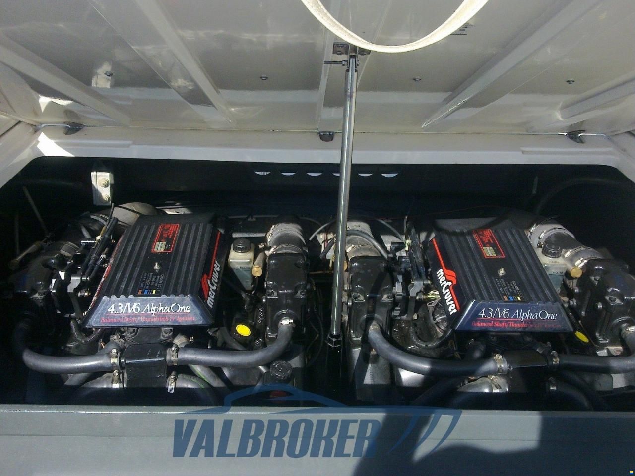 Molinari FALCON 26
