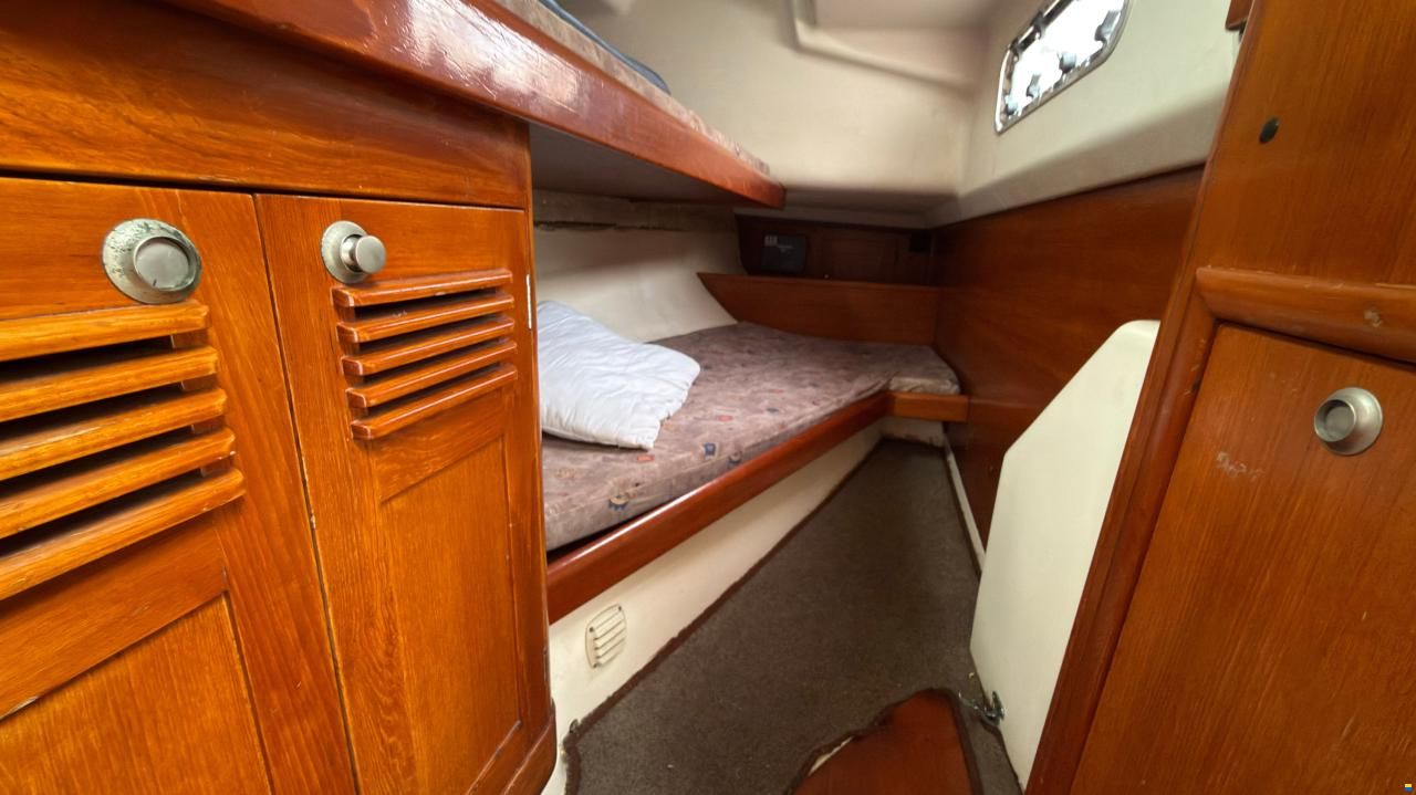 Elan 38