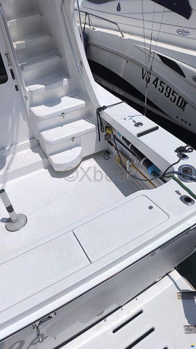 Luhrs 36 CONVERTIBLE
