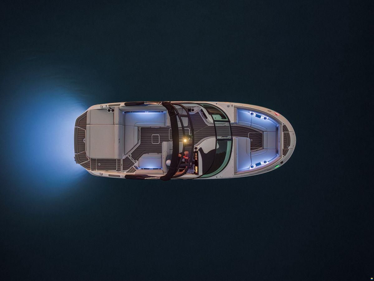 Sea Ray SDX 250