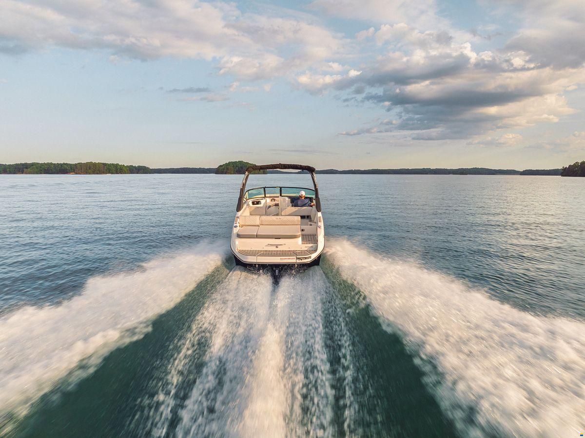 Sea Ray SDX 250