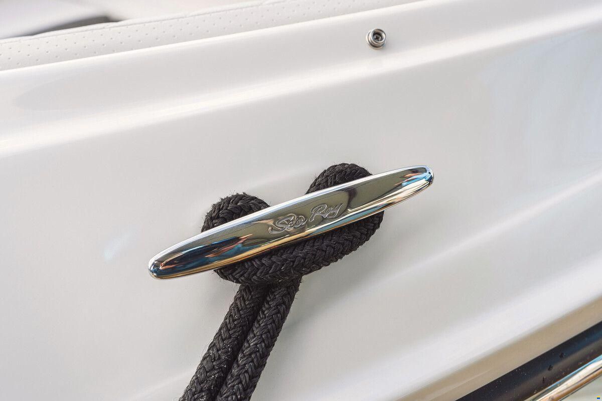 Sea Ray SDX 250
