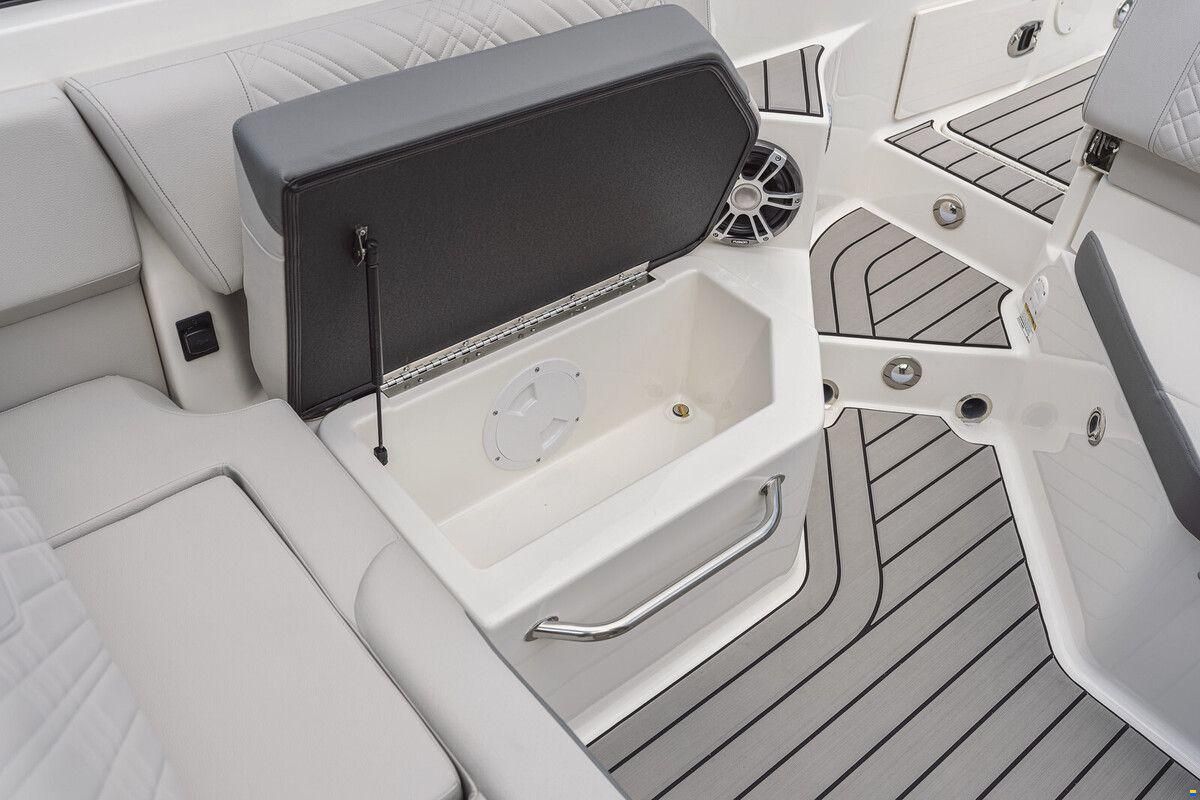 Sea Ray SDX 250