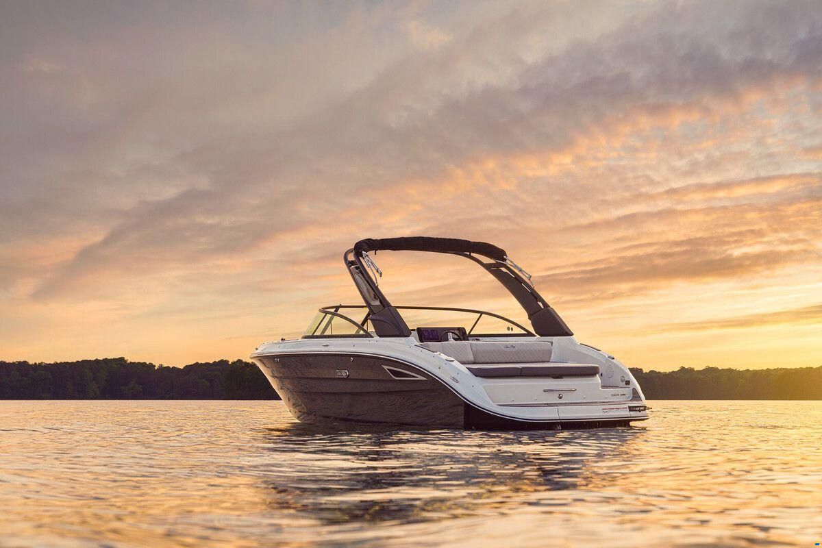 Sea Ray SDX 250