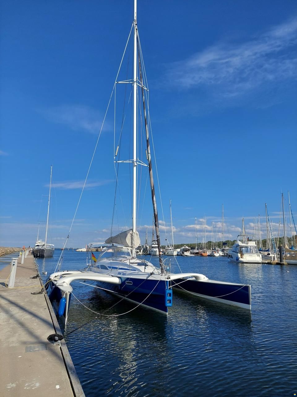 Quorning Dragonfly 28 Sport