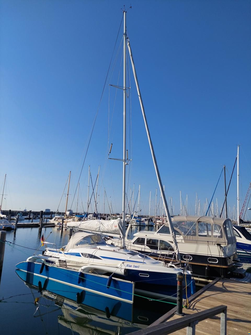 Quorning Dragonfly 28 Sport