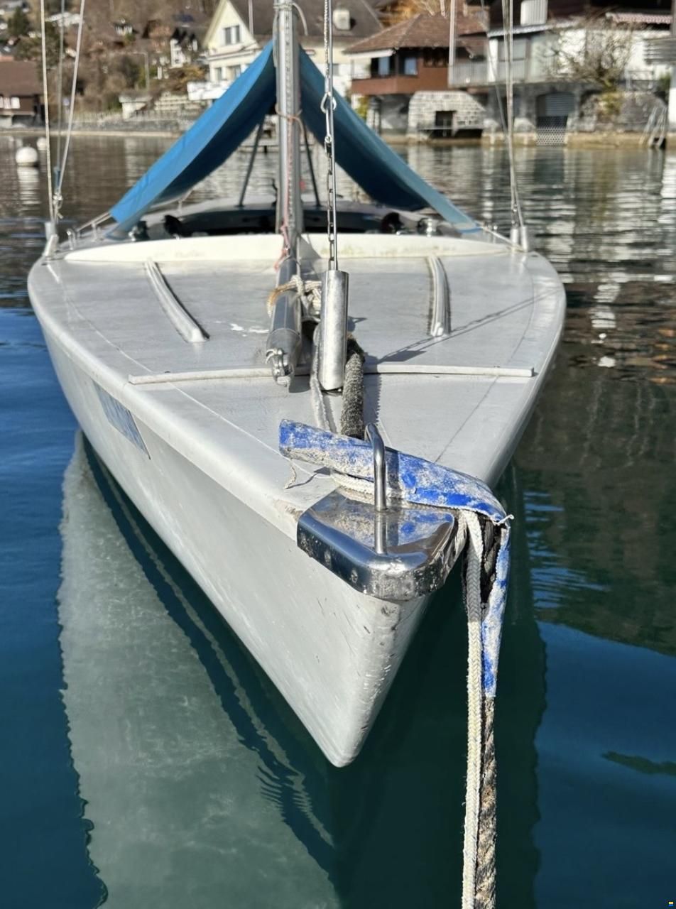 Polyform Soling, zeitlose Eleganz