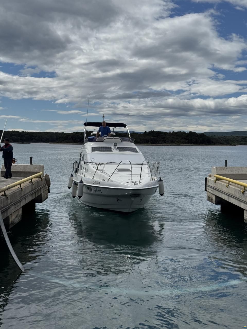 Sealine F33
