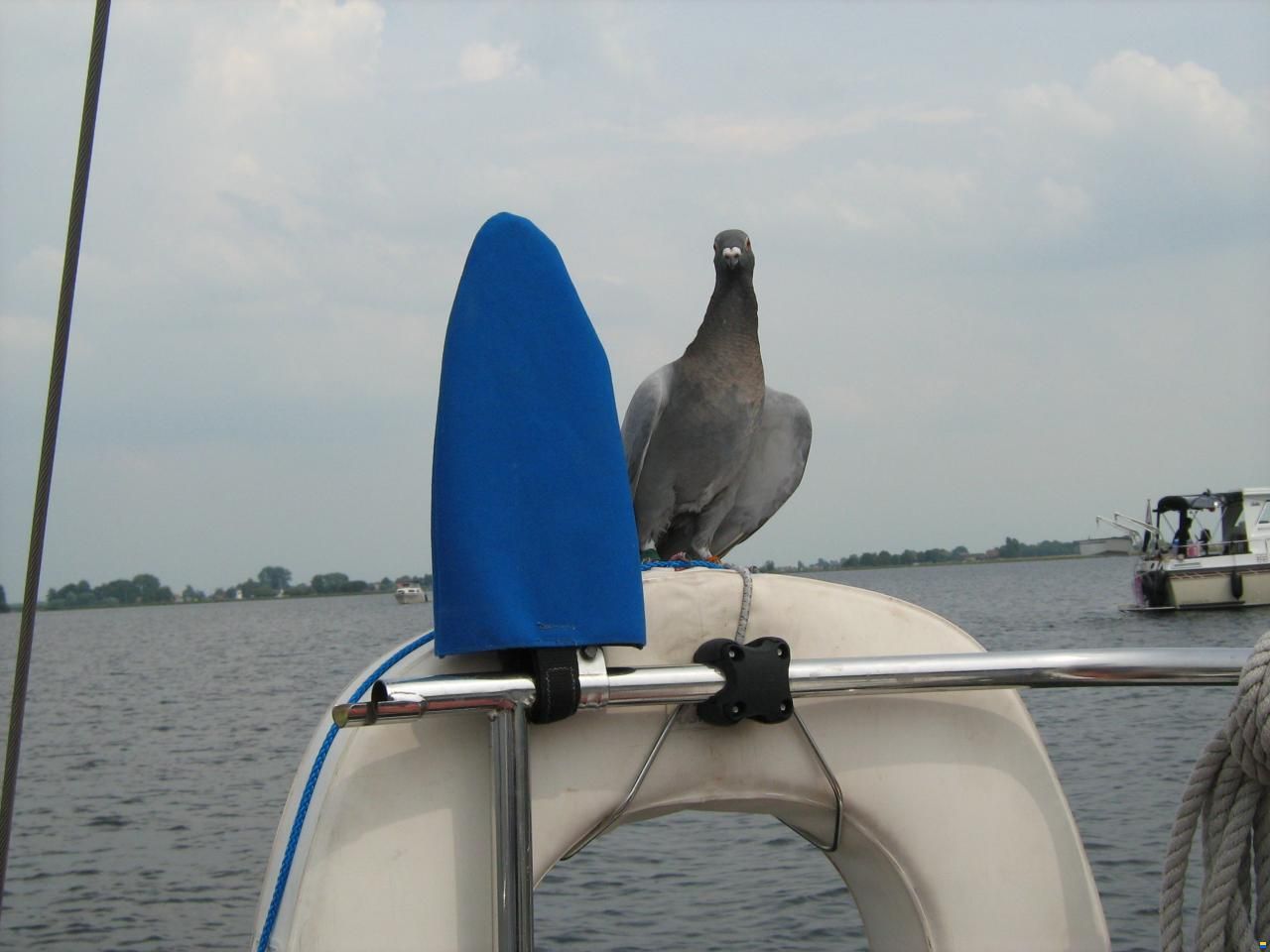 Contest 25