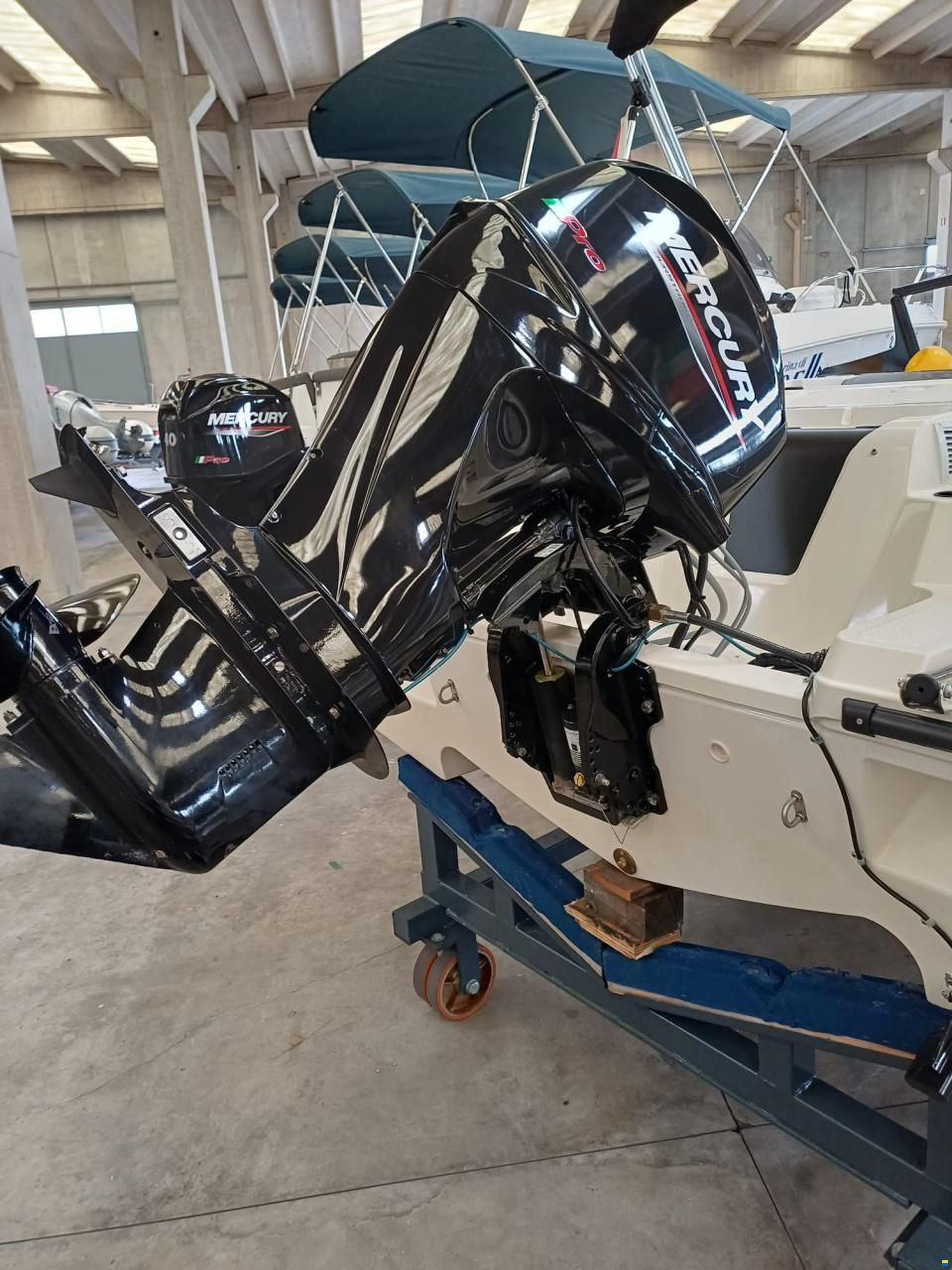 Bayliner Element M17