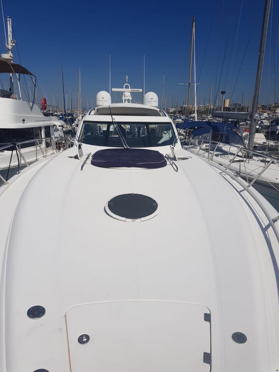 Sunseeker Predator 61