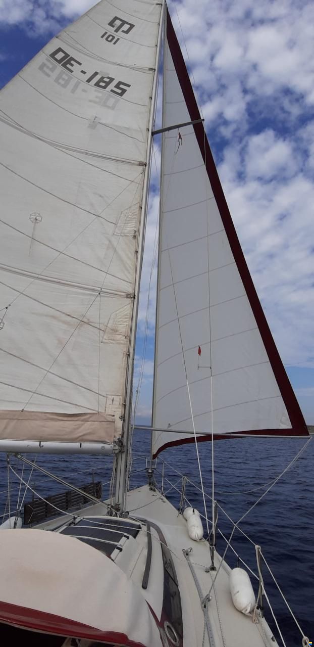 Dehler Optima 101