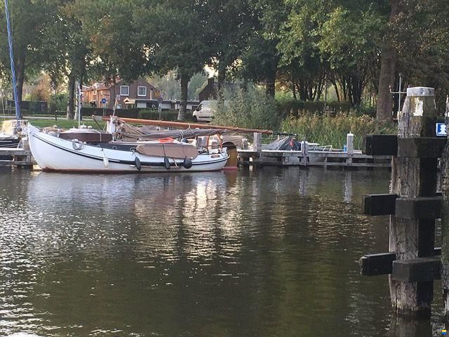 Lemsteraak Roefmodel 1010 - Dolfijn