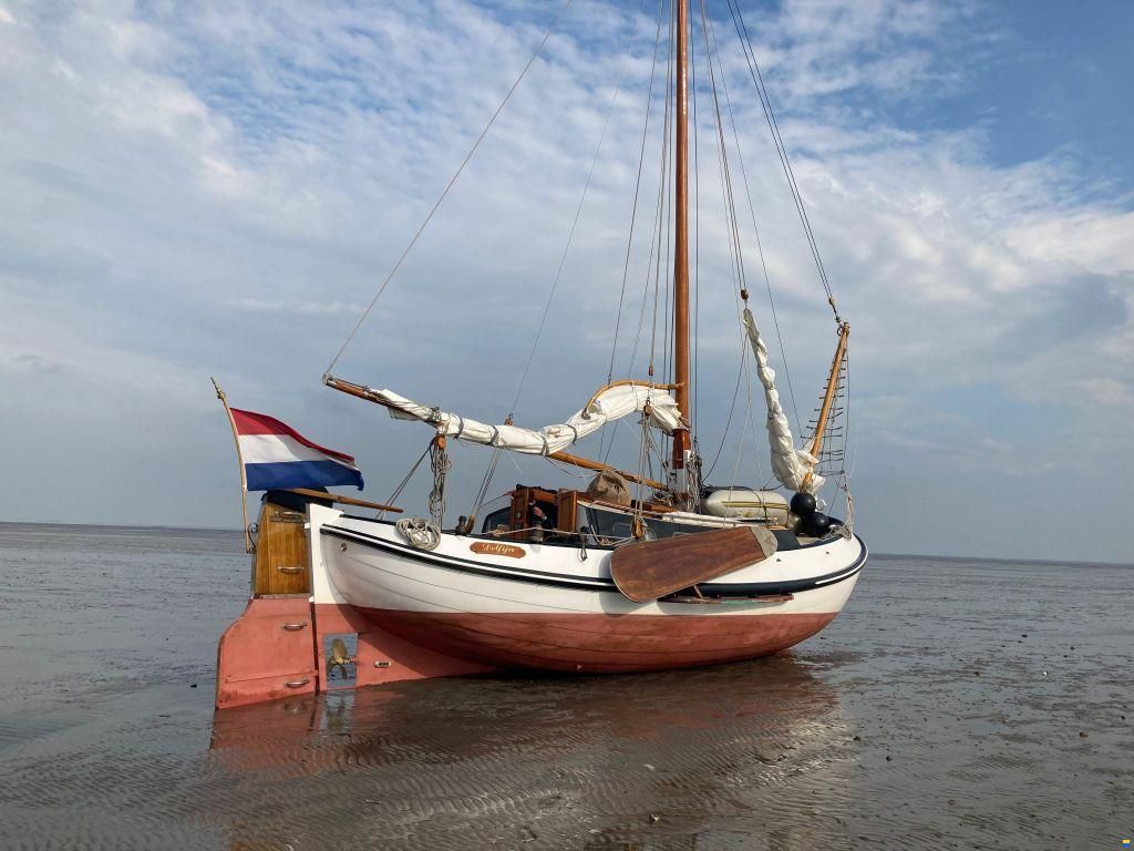 Lemsteraak Roefmodel 1010 - Dolfijn