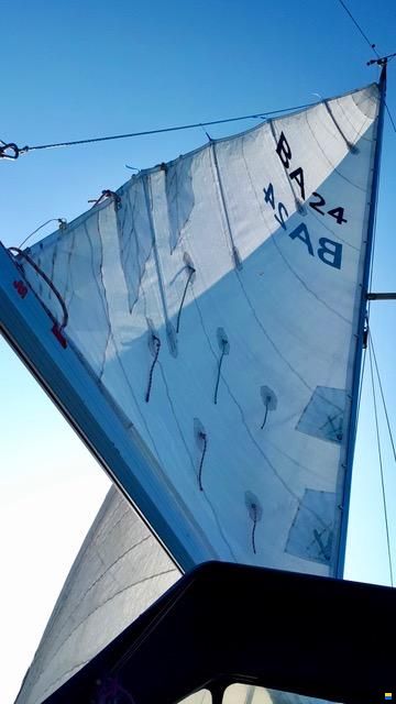 Bandholm 24