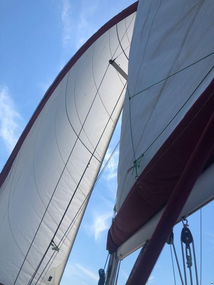 Beneteau OCEANIS 411