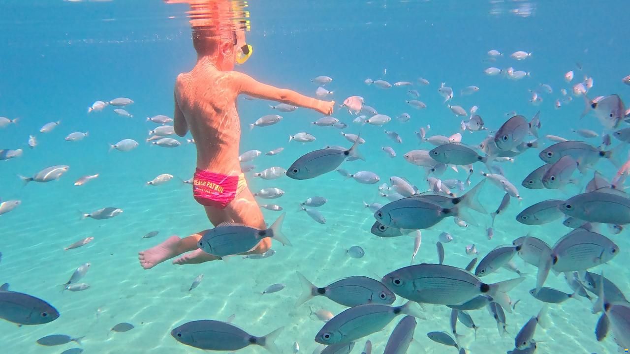 Lagoon 450F