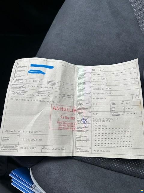 Pioner 12 Maxi Advance